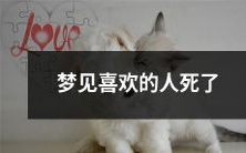 做梦悲伤:梦见心仪的人遭遇不幸去世