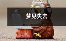 所有的东西:一个人的失落、沮丧和未来——一篇对梦中失去的深度探究