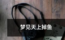 做梦梦见天空中突然掉落鱼儿,感到十分惊异和兴奋,心生疑惑和好奇:这可能是一种预示,启示着某些特殊的含义和智慧吗?