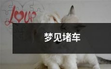 在梦中经历堵车的情景—深度探索潜意识中的现实挑战与情感压力