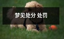 睡梦中的想象,想象出一个正群众特别担心的事,那就是处分处罚,虽然是虚幻的场景,但是所带来的强烈反应却是真实的