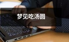 在梦中遇见了美味的汤圆并大快朵颐的惊奇之旅