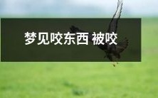 到底是什么象征意义:做梦时嘴里啃咬的物品被咬住了,这个场景究竟揭示了什么隐含含义呢?