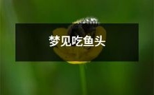 在梦中见到自己品尝美味鱼头的全新体验:梦中品尝美味鱼头的美妙经历