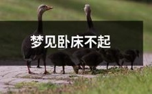 有关健康问题的梦境经历:梦中身处床榻,难以起身行动的情形描述