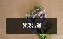 梦中告别:一个离别的情景在梦境中缓缓展开