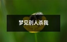 梦中见到他人谋杀自己的恐怖情节:我在梦境中被人追杀而惊醒!