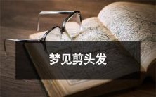 在梦中惊醒:我竟然梦见自己剪头发,剪下的发丝飘荡在空中,让我感到难以置信!