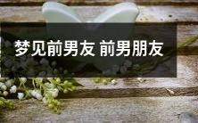 梦中再遇前男友,让我怦然心动,回忆起与前男朋友的美好回忆与苦涩感受