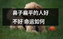 鼻子扁平的人是否注定命运堪忧?探究鼻型与人生路径的关联