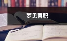 梦见自己担任高官一职,充满权力与荣耀的美梦成真
