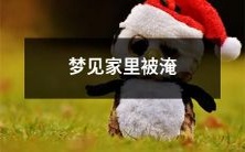 据梦想家庭被洪水淹没的梦,可能是代表着不安全感或者情感上的波动