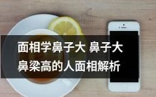 探秘面相学:探究鼻子大小与鼻梁高度对面相的解析
