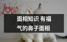拥有面相知识,了解鼻子面相的人更具福气与智慧