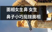 女生面相指南:如何观察细节判断女生鼻子的大小和形状?从面相看女生鼻子小巧挺拔,揭秘真相!