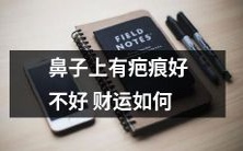 身上有鼻子上的疤痕,会对你的财运产生怎样的影响?