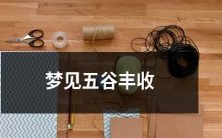 在梦中看到五谷丰收,预示着丰盈的收获和幸福的生活