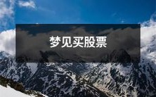 在睡梦中体验购买股票的情境:一位梦醒后回忆的个人经历