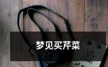 在梦中购买芹菜的奇异体验:追溯其象征意义和精神启示