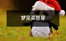 在梦中遇见购买嫩豆芽的情景:探索梦境中的食品象征与吉兆含义