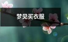 在梦中购买新衣服的奇妙体验:究竟象征着什么?