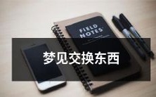 在睡梦中经历的神奇遭遇:我梦见和陌生人进行交换物品的奇妙冒险!