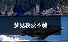 梦境中目睹亵渎不敬行为,引发精神上的冲击和深刻反思