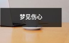 的事情——我的情感起伏在梦中被释放了