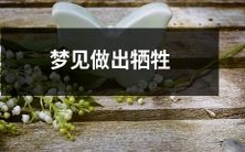 在梦中经历自我牺牲的梦境:我做出了舍身为民的勇敢决定
