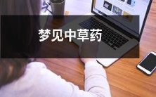 缠绕而来的神秘草药:我在梦中的沉迷体验