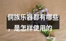 探究侗族文化:详细介绍侗族传统乐器及其使用方法