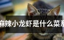 麻辣小龙虾究竟属于哪种中国菜系呢?