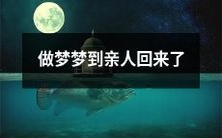 睡梦中重逢亲人:一个充满感动的梦境体验!