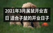 2021年3月适合属鼠的开业日子,具有吉利之兆和良好的商业机遇