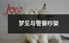 在梦中发生的情景:我与一位警察争吵并产生冲突的真实感受