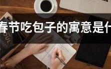 春节食用包子的文化与象征意义:探析中华文化传统中的包子之道