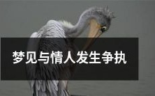 今夜梦中,我与心爱之人发生不愉快的争执,情感瓦解:一个梦境中的情感矛盾和分裂体验