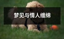的甜蜜时光:深度解析梦境中的恋爱情节与情感内涵