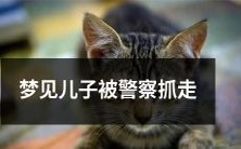 梦见自己的儿子突遭警方逮捕之后离奇的人生经历及其潜在的象征意义解读