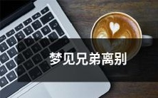 在梦中道别亲密的兄弟:梦境中的离别之痛