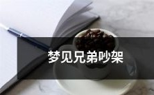 在睡梦中目睹兄弟激烈对峙并展开争吵的生动梦境