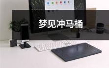 在梦中看到自己冲马桶的奇怪场景:你是否需要了解梦境中这种日常行为所蕴含的深层意义?