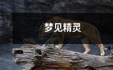 我在梦中遇见了一个神秘而令人兴奋的精灵,身临其境的奇幻之旅让我难以忘怀!