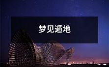 梦到自己遁地并探索神秘空间:解读梦境中的地下世界奇幻之旅