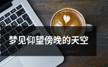 穿过暮色,我在梦中仰望傍晚渐暗的天空