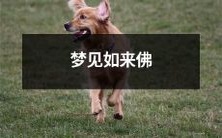 眷顾祥云,以沉静慈悲手抚众生,缘觉如来佛莅临梦中坐授普度之满园花果福田