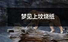 我梦见在墓地上焚烧香纸,以向祖先表达敬意的梦境