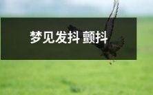 梦中颤抖抖抖,仿佛置身漩涡之中!