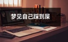 在梦中经历不幸,尴尬和尴尬情景:我梦到自己不慎踩到臭屎!