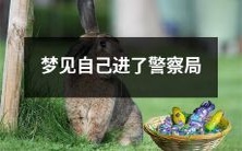 昨晚做梦了,梦见自己被警察带进警察局了!